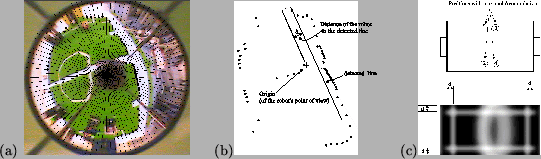 \begin{figure}\begin{center}
(a)\hspace*{1ex}\epsfig{file= radialAccu.eps,height...
...3ex}
(c)\epsfig{file= closestWall.eps,height=0.28\hsize}\end{center}\end{figure}